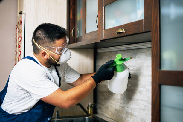 Best Exterminator Services  in Hwatha, IA