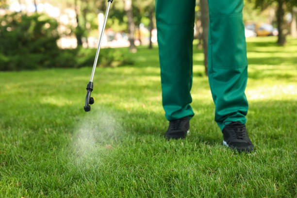 Best Residential Pest Control  in Hwatha, IA