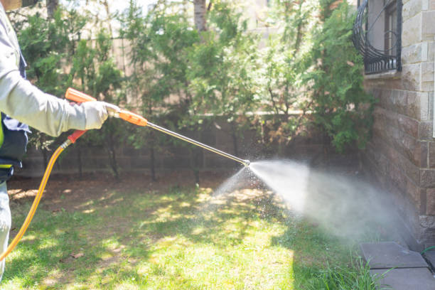 Best Local Pest Control Services  in Hwatha, IA