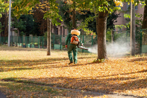 Best Ant Control Services  in Hwatha, IA