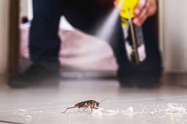 Best Emergency Pest Control  in Hwatha, IA