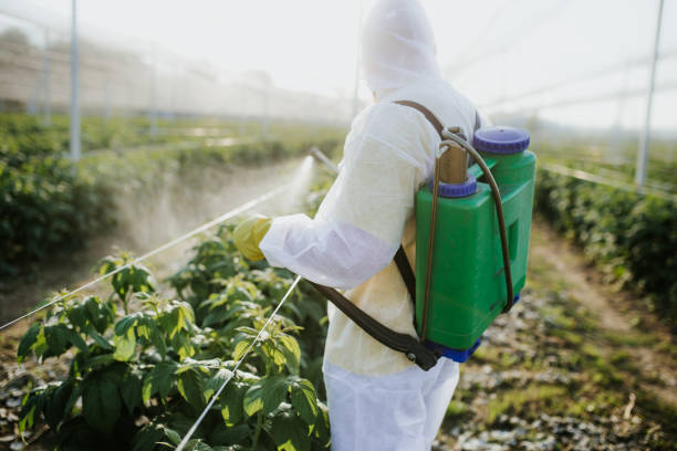 Best Mosquito Control Services  in Hwatha, IA